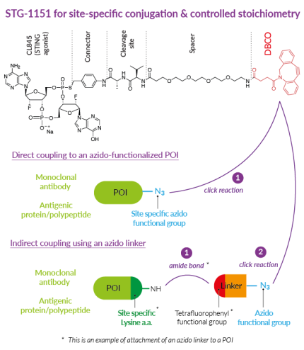 Controlled bioconjugation using    STG-1151