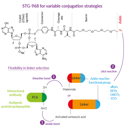 Flexible bioconjugation using STG-968