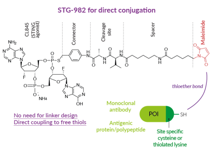 Direct conjugation using STG-982