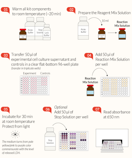 LDH-Blue™ assay at a glance