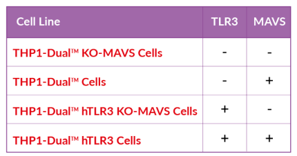 TLR3 and MAVS expression in THP1-Dual™-derived cell lines