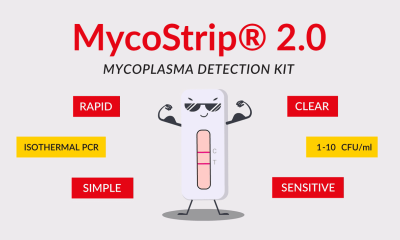 MycoStrip - Mycoplasma Detection Kit - video
