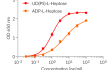 Comparison of UD(PS)-L-Heptose and ADP-L-Heptose activity