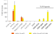 IRF responses in hTLR9-expressing HEK-Dual™-derived cells IRF responses in hTLR9-expressing HEK-Dual™-derived cells