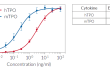 Cellular response HEK-Blue™ TPO cells to TPO