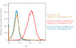 Validation of ACE2 surface expression by FACS in A549-Dual™ hACE2-TMPRSS2 cells