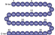 Amino acid sequence of GIP (1–42)