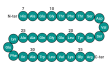 Amino acid sequence of GLP-1 (7–36)