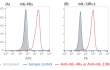 Validation of the expression of mouse IL-4Rα and IL-13Rα1 by HEK-Blue™ mIL-4/IL-13 cells.