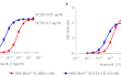 HEK-Blue™ IL-2Rβ/γ and HEK-Blue™ CD122/CD132 response to IL-2 and IL-15