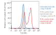 Restoration of surface TCR expression following TCR α/β transfection in Jurkat-Lucia™ NFAT KO-TCR CD8+ cells