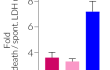 Cytotoxicity detection range using red or blue formazan readouts