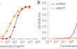 Dose-response of HEK-Blue™ BCMA cells to recombinant APRIL and BAFF