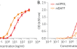 Dose-response of HEK-Blue™ TACI cells to recombinant APRIL and BAFF