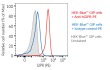 Validation of the expression of human GIPR by HEK-Blue™ GIP cells