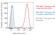 Validation of the expression of human GCGR by HEK-Blue™ Glucagon cells