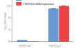 Validation of ACE2 and TMPRSS2 overexpression by RT-qPCR in A549-Dual™ KO-RIG-I hACE2-TMPRSS2 cells
