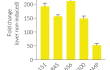 IRF responses induced by STG-1151 and other STING agonists