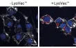 Validation of Cy3 fluorescent labeling by fluorescence microscopy