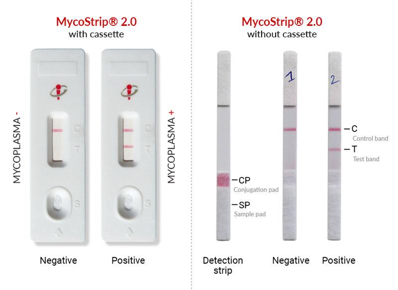 MycoStrip®