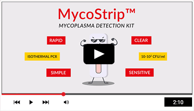 Watch or video animation on MycoStrip™- Mycoplasma detection kit